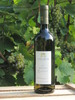Riesling Rheinhessen Riesling