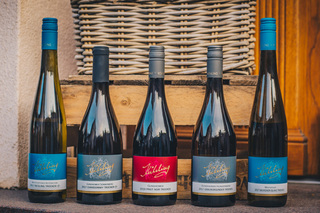 Sauvignon Blanc Bio ausverkauft  
