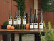 Riesling Spätlese BIO ausverkauft  Riesling