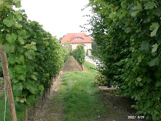 WeingutGruber, Aspisheim Weingut Gruber