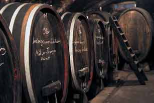 WeingutJUNGHOF, Undenheim Weingut JUNGHOF